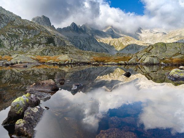 Zwick, Martin 아티스트의 Lago Nero in the Presanella mountain range-Parco Naturale Adamello-Brenta-Trentino-Italy-Val Renden작품입니다.